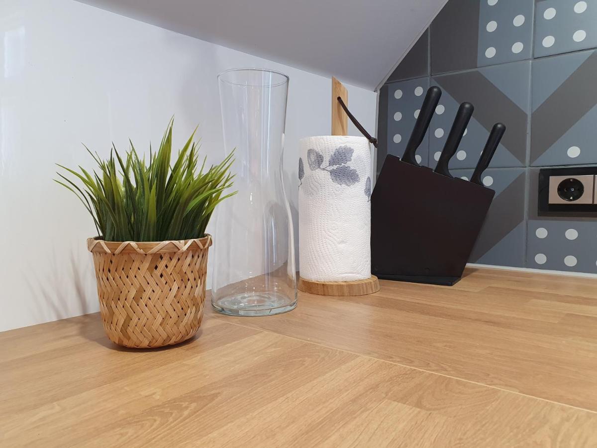 Kk Apartment 文茨皮尔斯 外观 照片